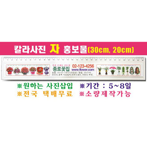 [꽃집홍보용]30cm칼라자(20cm품절)